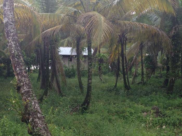 Нью-Йорк-Коста-Рика(Corkovado)-Панама(Bocas del Toro) июнь 2014