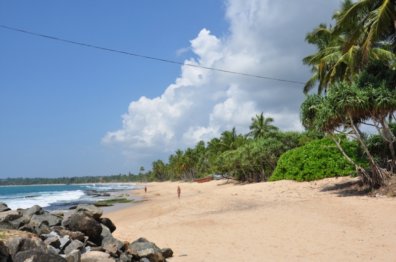 Шри Ланка в январе, в 1 раз:)))прошу критики