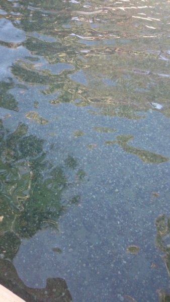 Отчет о поездке в Памуккале и Стамбул на 3 дня в июне 2014 г.