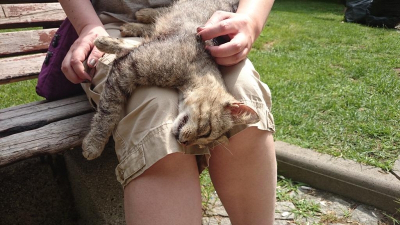 Отчет о поездке в Памуккале и Стамбул на 3 дня в июне 2014 г.