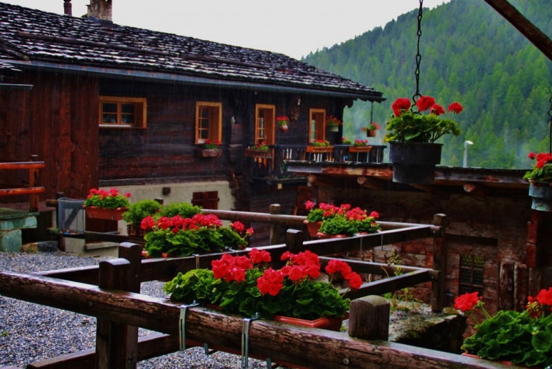 5-ть дней в Швейцарии.