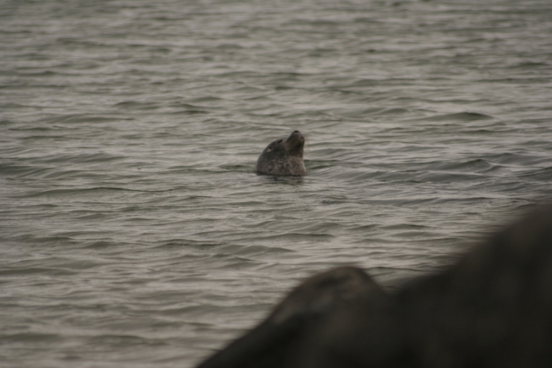 Исландия. Июнь 2014. Unreal. Unbelievable. Unutterable