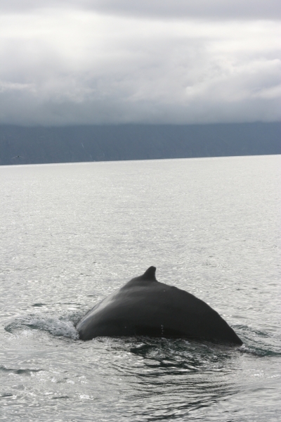 Исландия. Июнь 2014. Unreal. Unbelievable. Unutterable