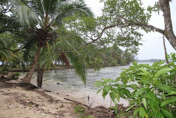 Нью-Йорк-Коста-Рика(Corkovado)-Панама(Bocas del Toro) июнь 2014