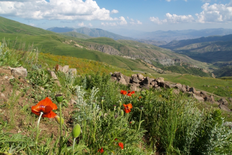 Закавказье на авто июль 2014 (из Мск; Грузия+Армения)