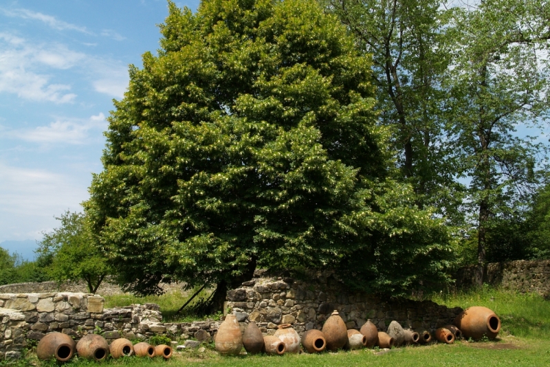 Закавказье на авто июль 2014 (из Мск; Грузия+Армения)