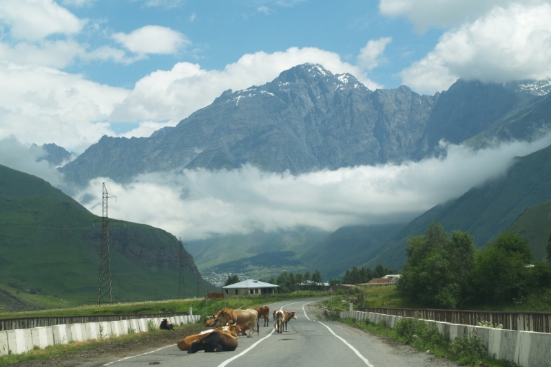 Закавказье на авто июль 2014 (из Мск; Грузия+Армения)