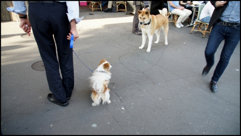 Французское меню (Прованс + Париж)