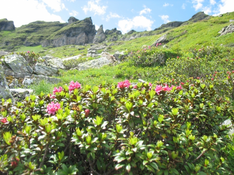 Неделя в Гриндельвальде.