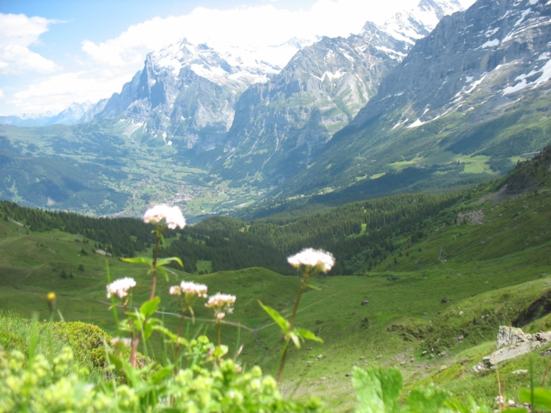 Неделя в Гриндельвальде.