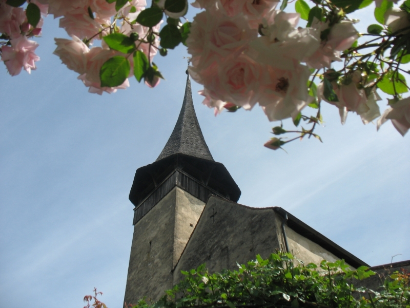 Неделя в Гриндельвальде.