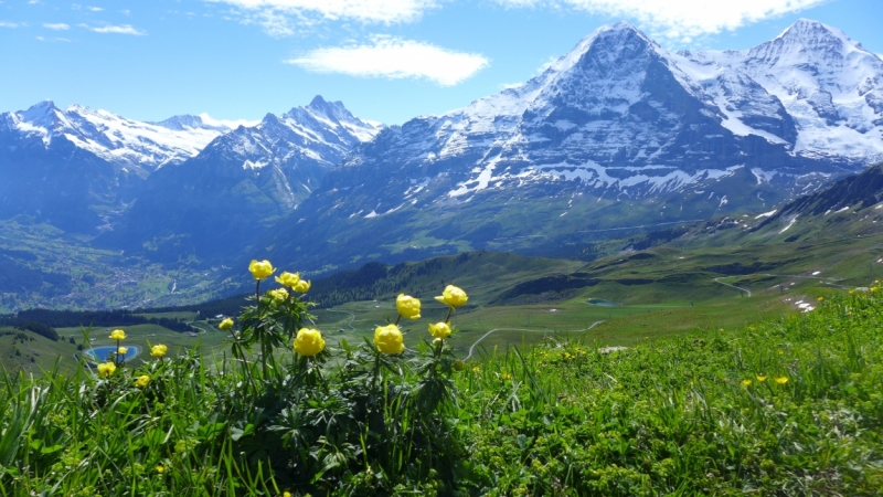 Sorry, no beach…Switzerland.