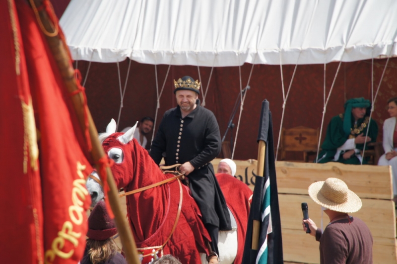 Грюнвальдское поле 2014, рыцари, замки