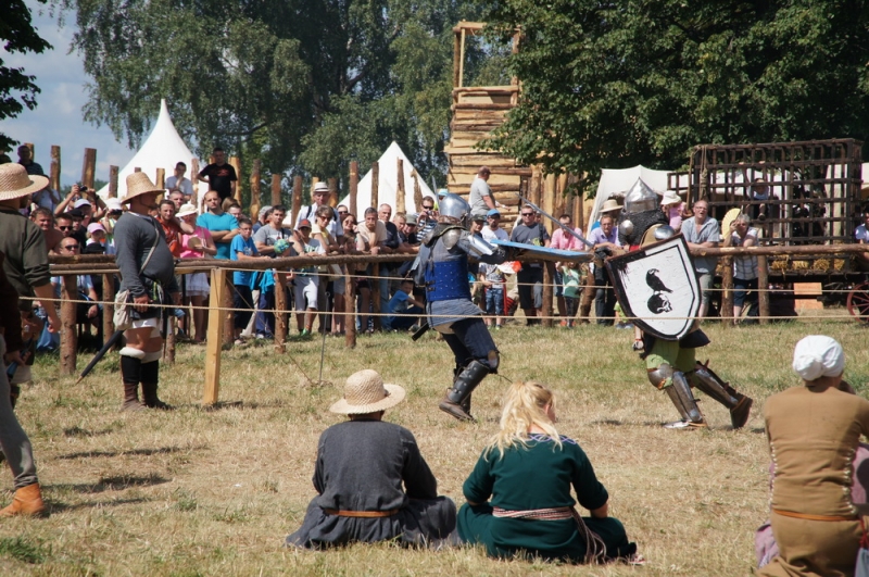 Грюнвальдское поле 2014, рыцари, замки