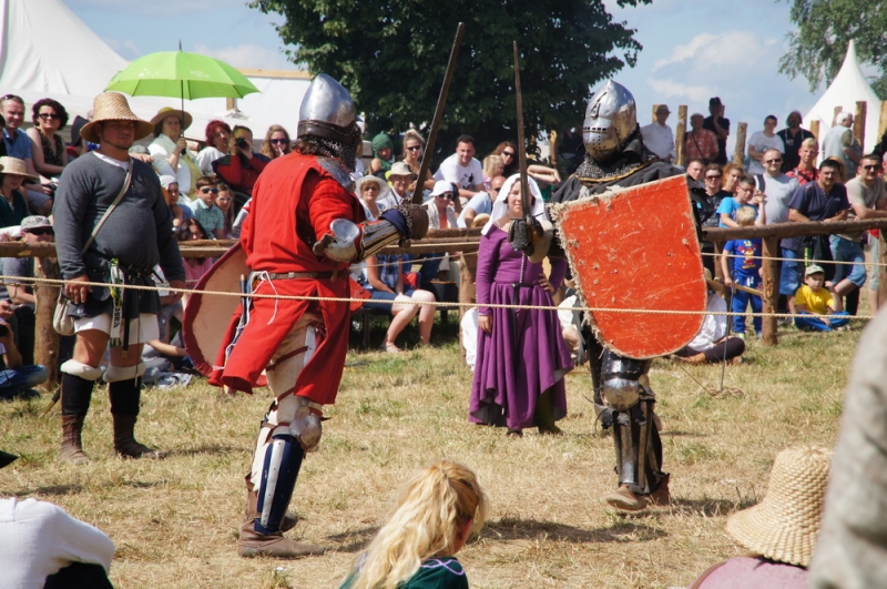 Грюнвальдское поле 2014, рыцари, замки