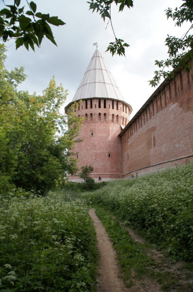 Грюнвальдское поле 2014, рыцари, замки