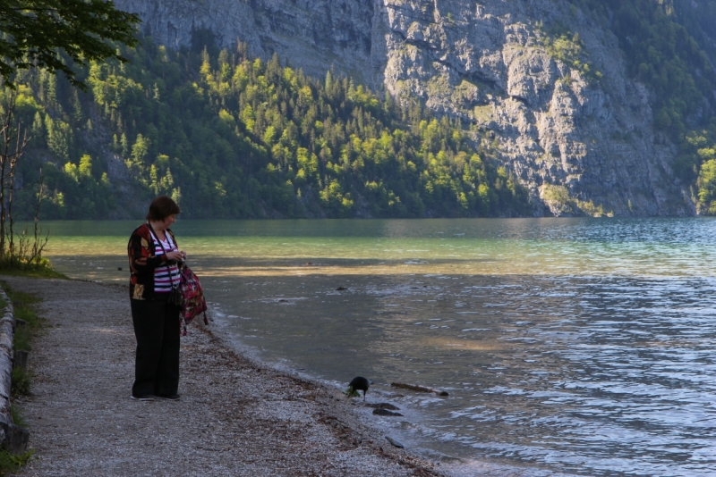 Майская Бавария