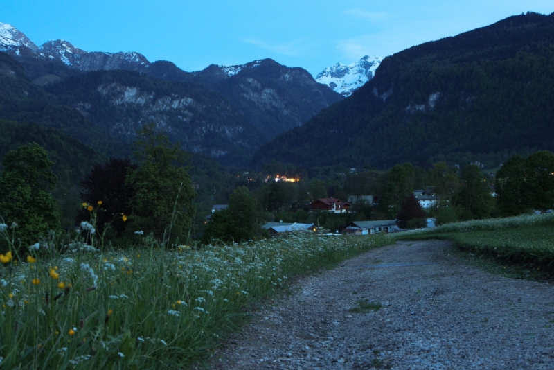 Майская Бавария