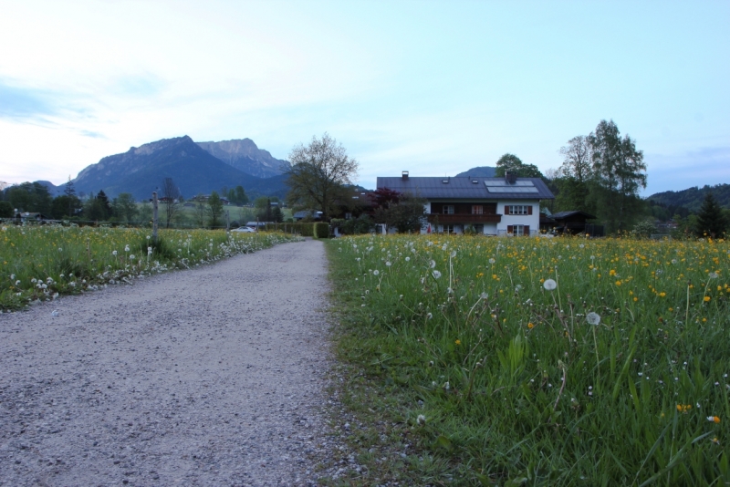 Майская Бавария