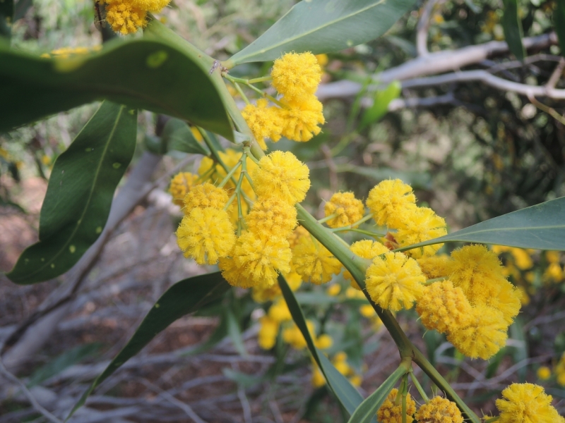 Галилея и Самария 2014... А завтра была война...