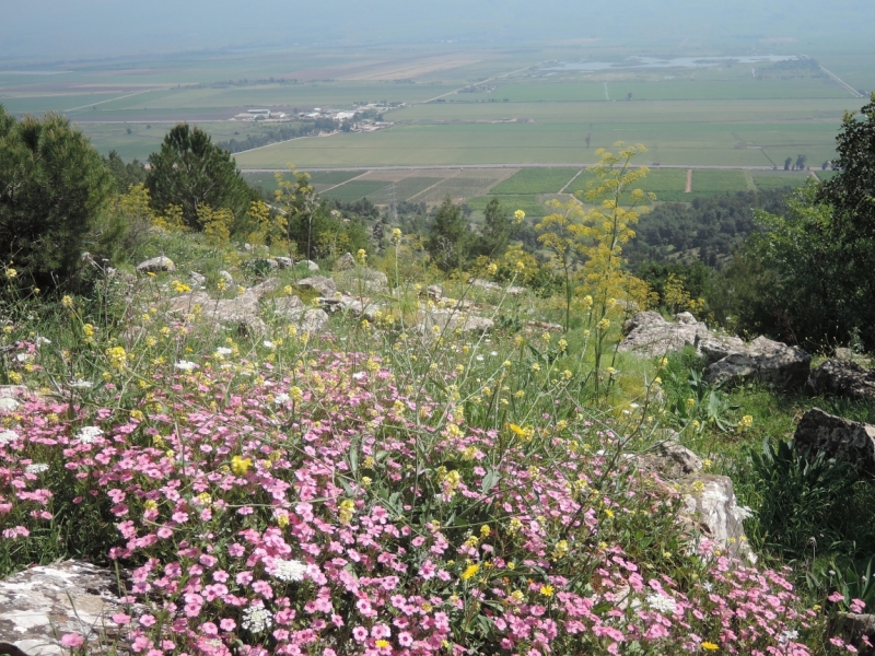 Галилея и Самария 2014... А завтра была война...