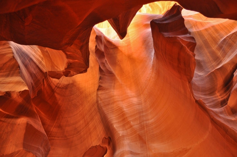 Californication vacation