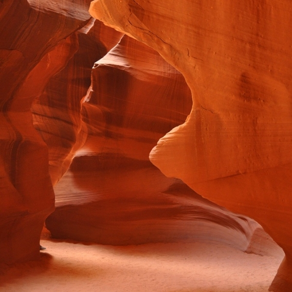 Californication vacation