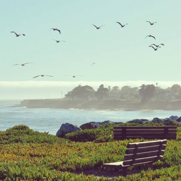 Californication vacation