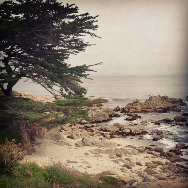 Californication vacation