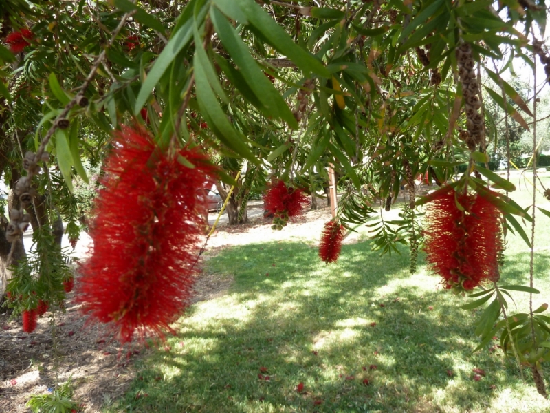Галилея и Самария 2014... А завтра была война...