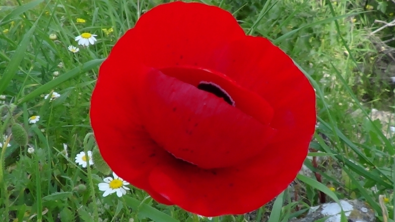 Галилея и Самария 2014... А завтра была война...