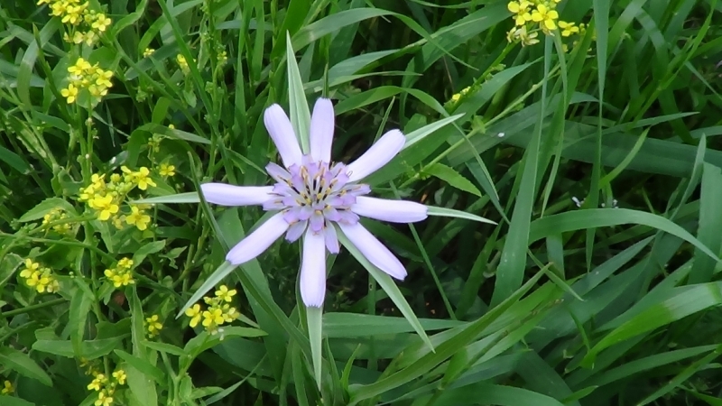 Галилея и Самария 2014... А завтра была война...