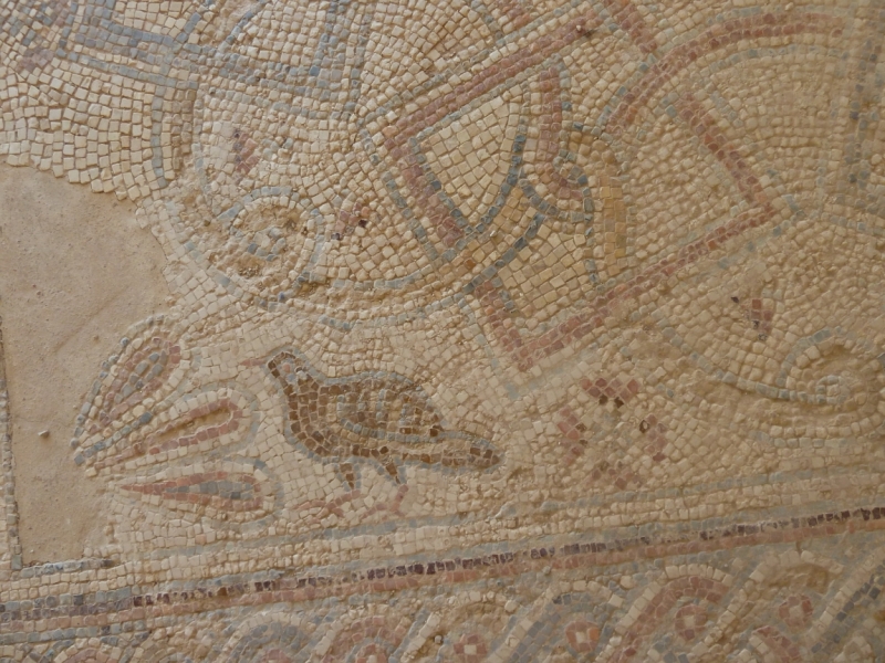 Галилея и Самария 2014... А завтра была война...