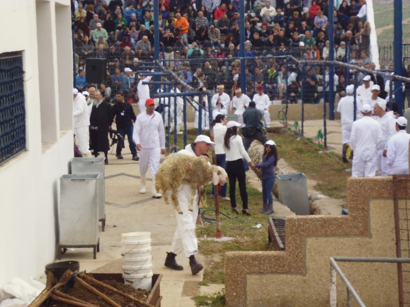 Галилея и Самария 2014... А завтра была война...