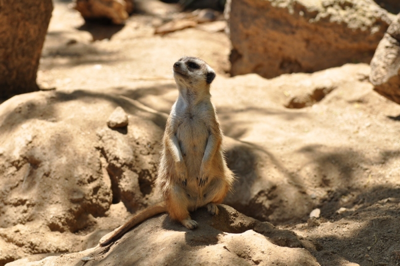 Californication vacation