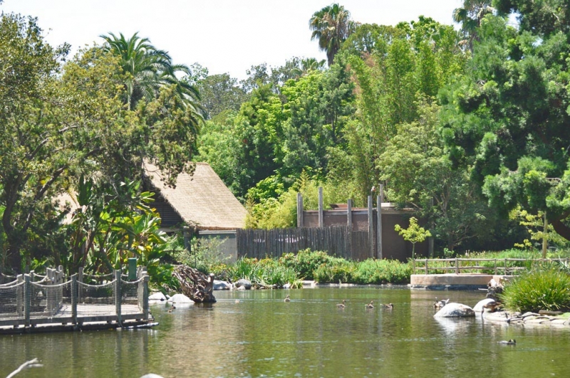 Californication vacation