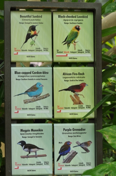 Californication vacation