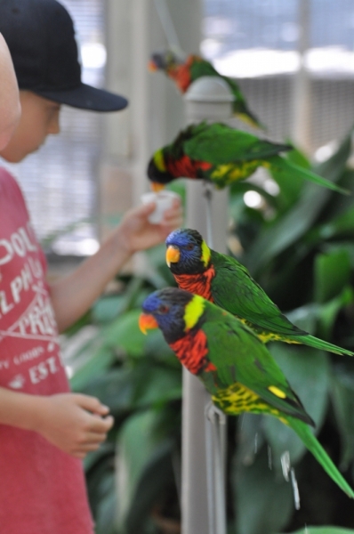 Californication vacation