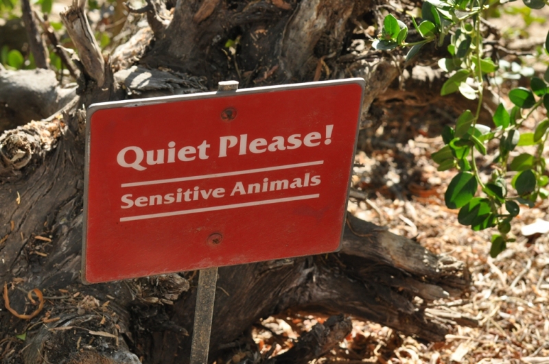 Californication vacation