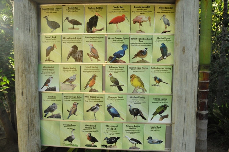 Californication vacation