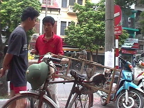 Вьетнам  2002