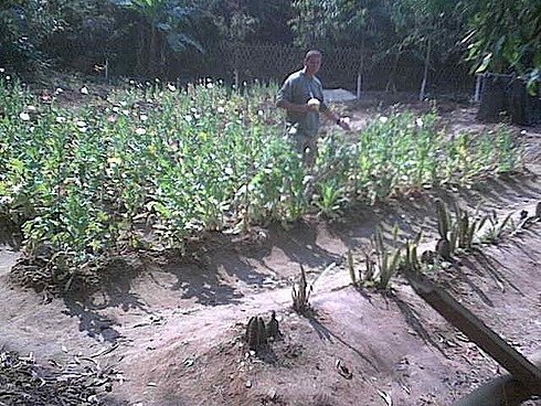 Мьянма. Фотоальбом, разные годы