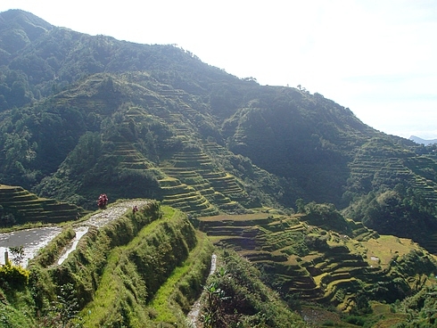Фото альбом по Филлипинам.Траффик!