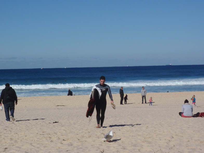 Австралия.Сидней ,Мельбурн и Канберра .Фото