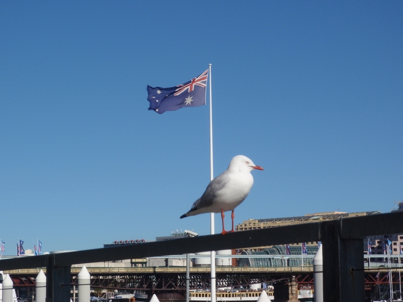 Австралия.Сидней ,Мельбурн и Канберра .Фото