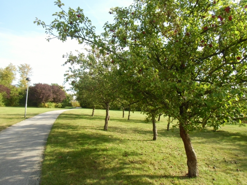 Центральная Европа, Бенилюкс + Швеция, Прибалтика - 8000 км, 21 день, low budget trip