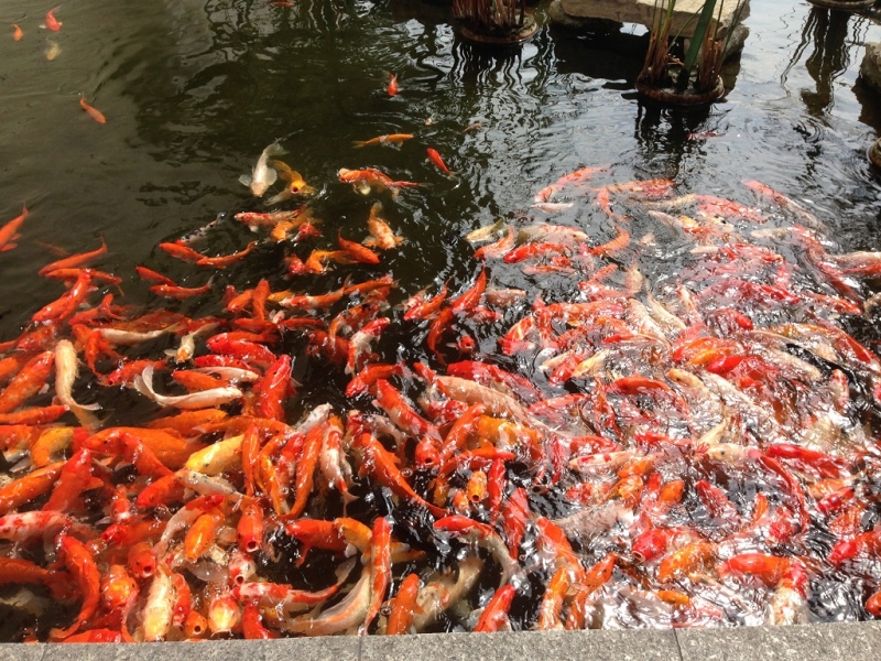 Перу, Боливия и кусочек пляжного Эквадора, ноябрь 2013