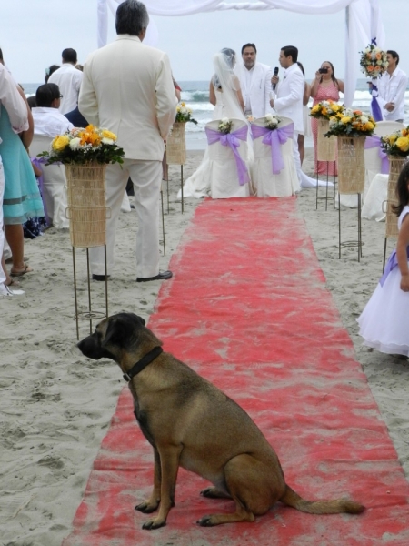 Перу, Боливия и кусочек пляжного Эквадора, ноябрь 2013