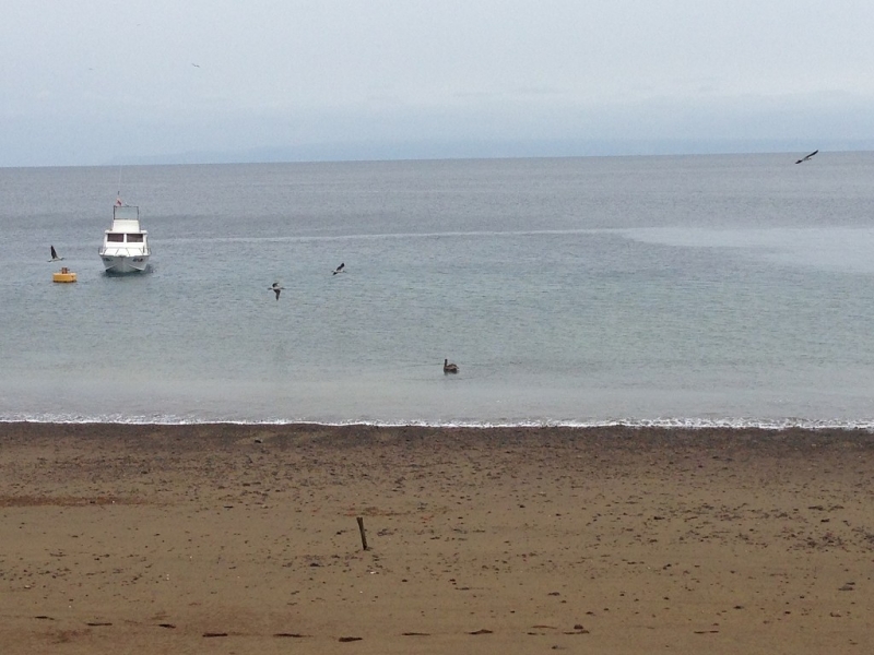 Перу, Боливия и кусочек пляжного Эквадора, ноябрь 2013