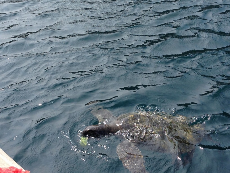 Перу, Боливия и кусочек пляжного Эквадора, ноябрь 2013